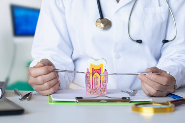 Best Emergency Root Canal Treatment in Wilmerding, PA